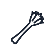Celery Stalk SVG icon — food