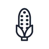 Corn SVG icon — food