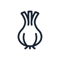 Fennel Bulb SVG icon — food