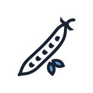 Green Bean SVG icon — food