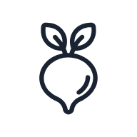 Turnip SVG icon — food